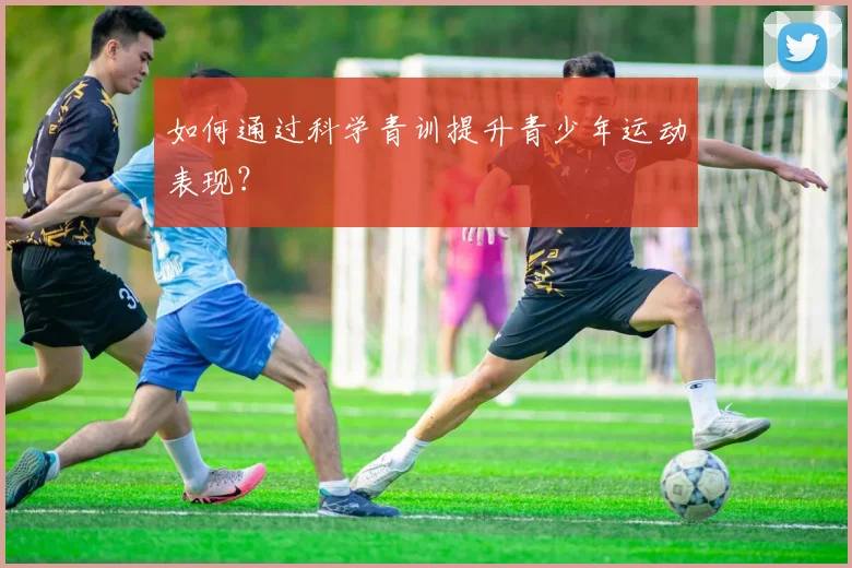 如何通过科学青训提升青少年运动表现?